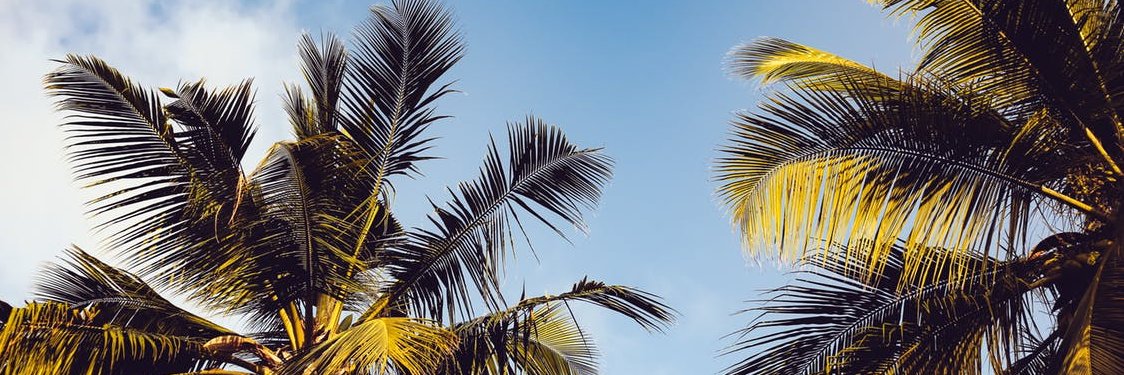 MontQuim's profile banner image