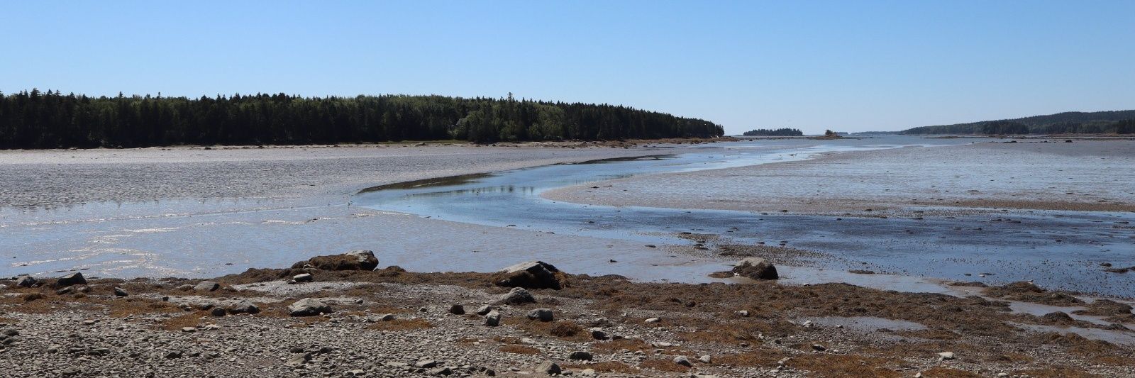 Fofinha ☀️🍀 banner