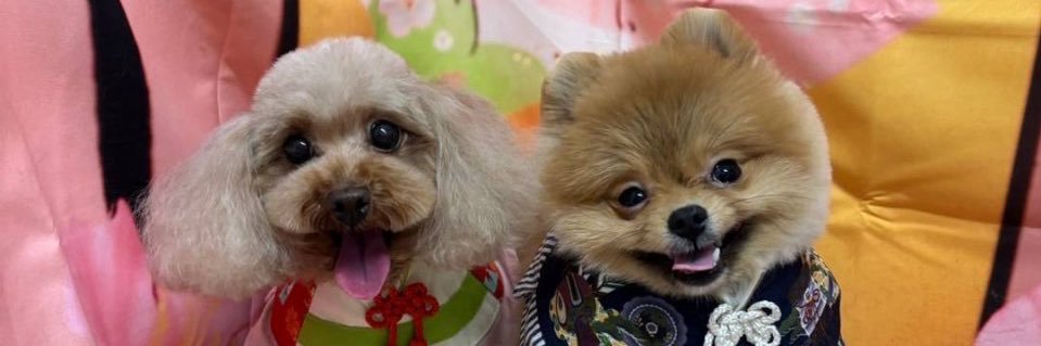 __dosho's profile banner image