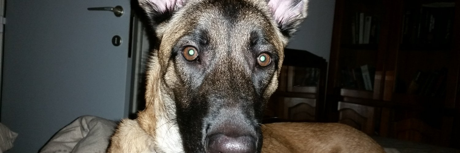 Lap Stéphane banner