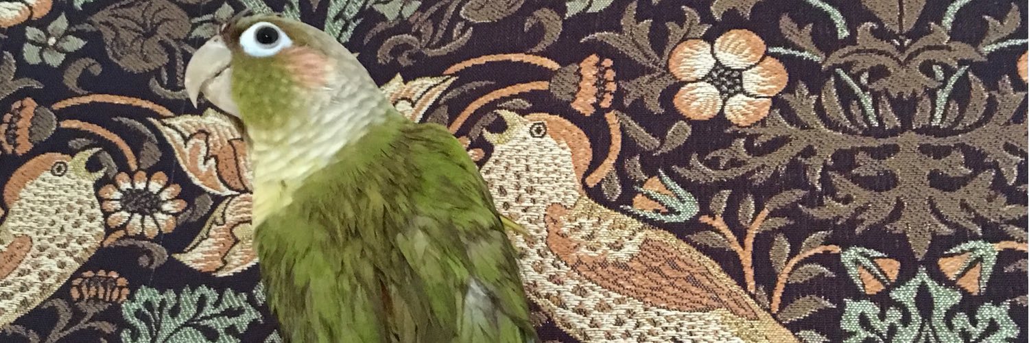 padmee37's profile banner image
