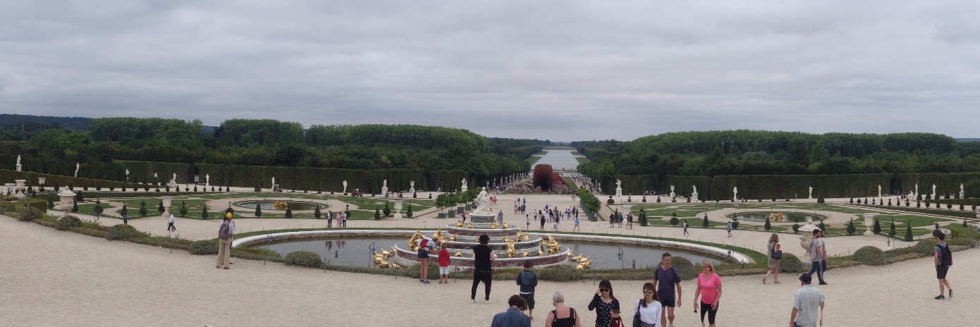 Rob Lewandowski banner