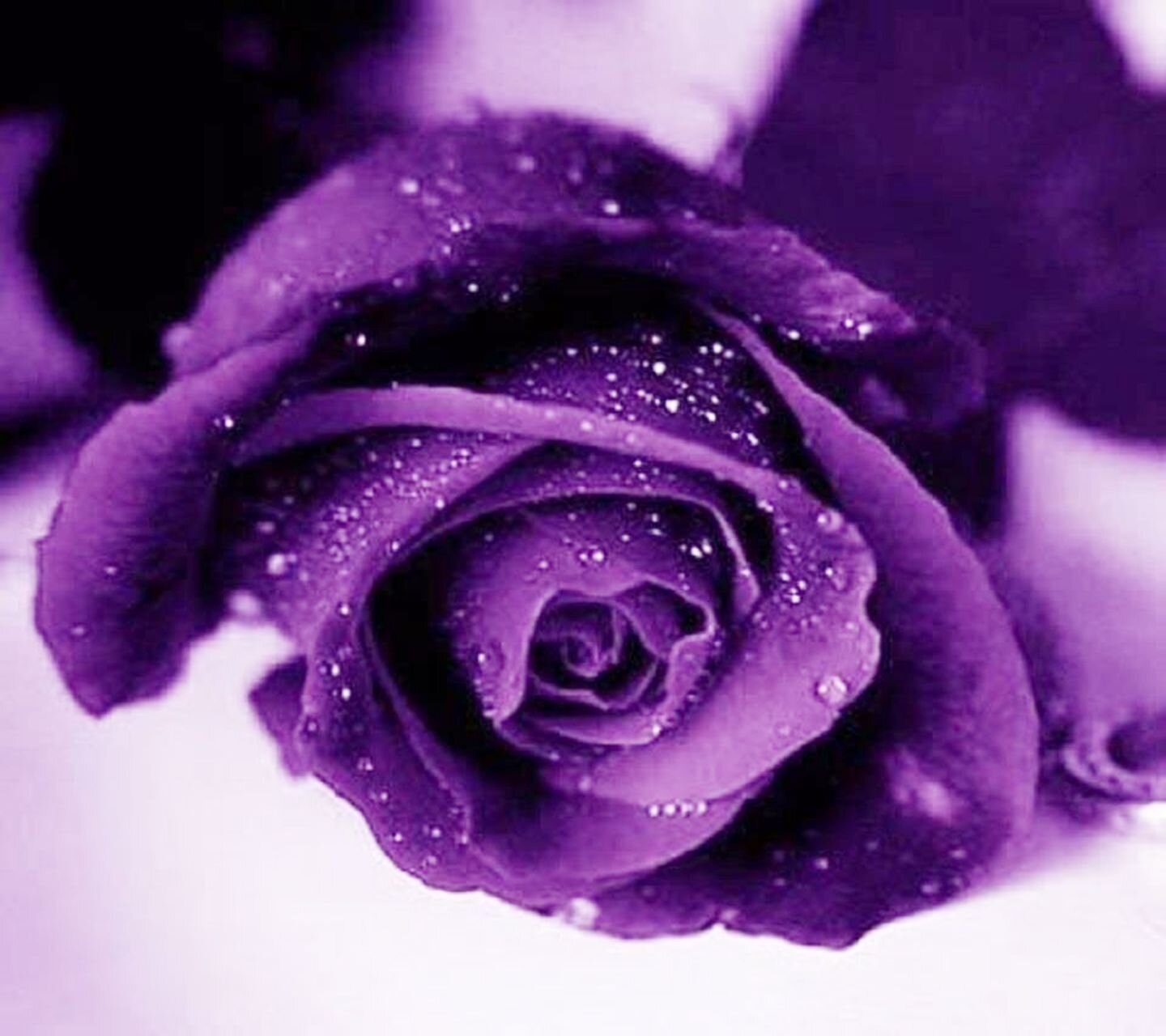 hunnacutt's profile banner image