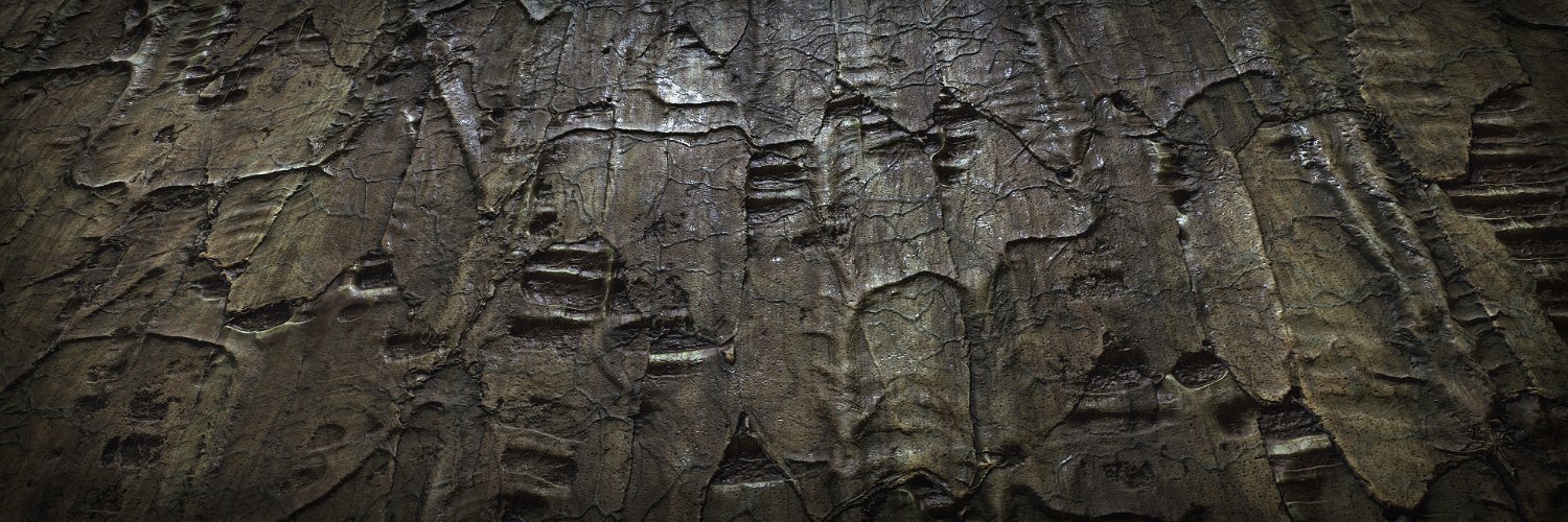 Matthias Schmidt banner