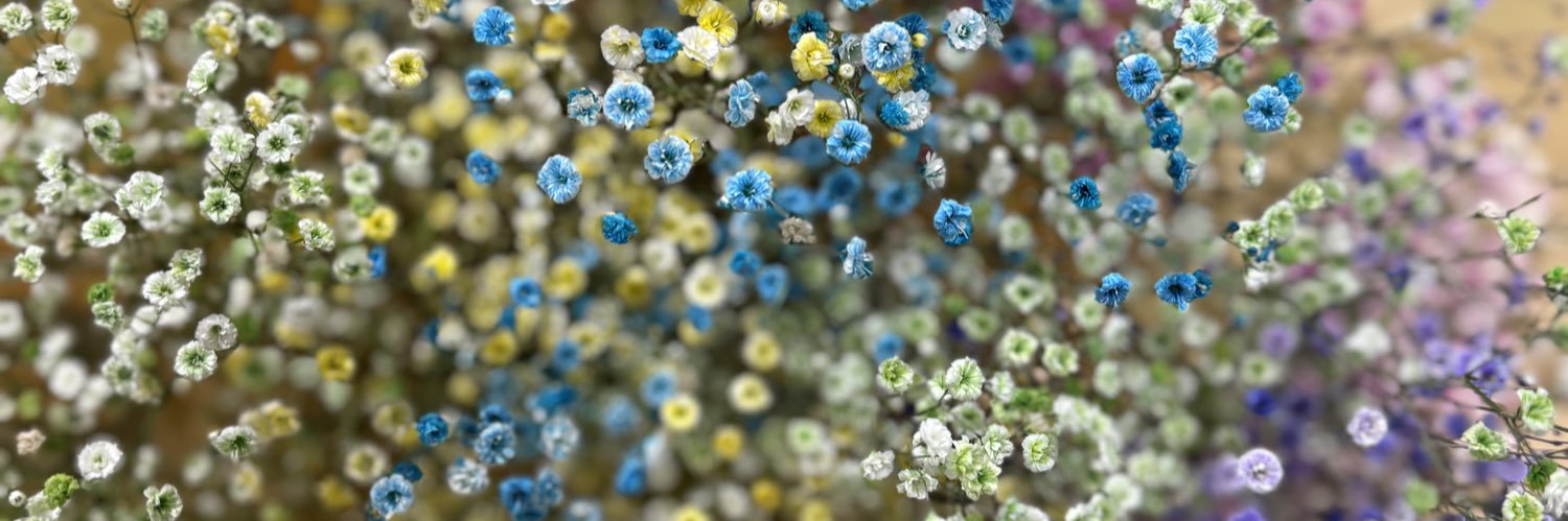 まっちゃ@取引垢 banner