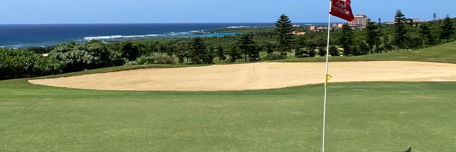 バックスピン banner