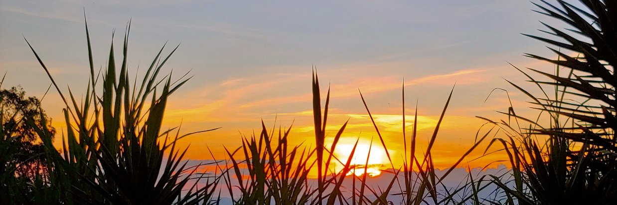 Monitor Dolar Ve banner