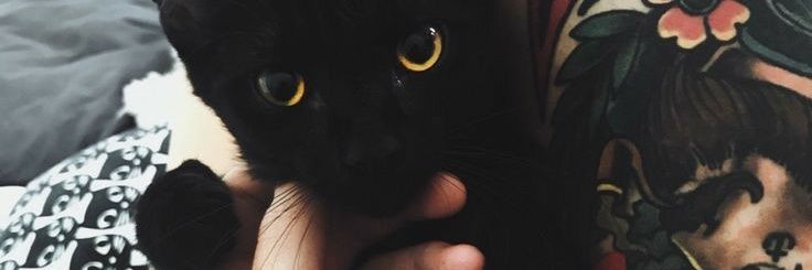 BloodMissa's profile banner image