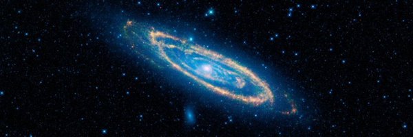 naokitakata Profile Banner