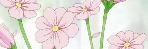 iShellsea_'s profile banner image