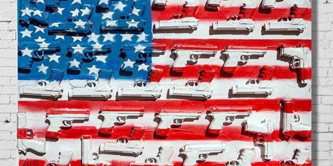 Firearms Daily banner