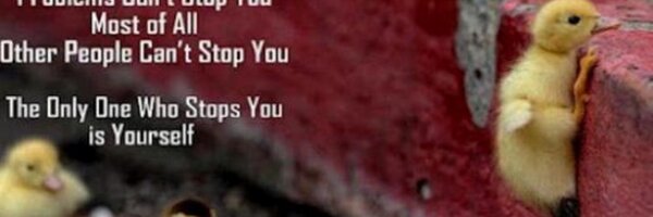 About_Kidneys Profile Banner