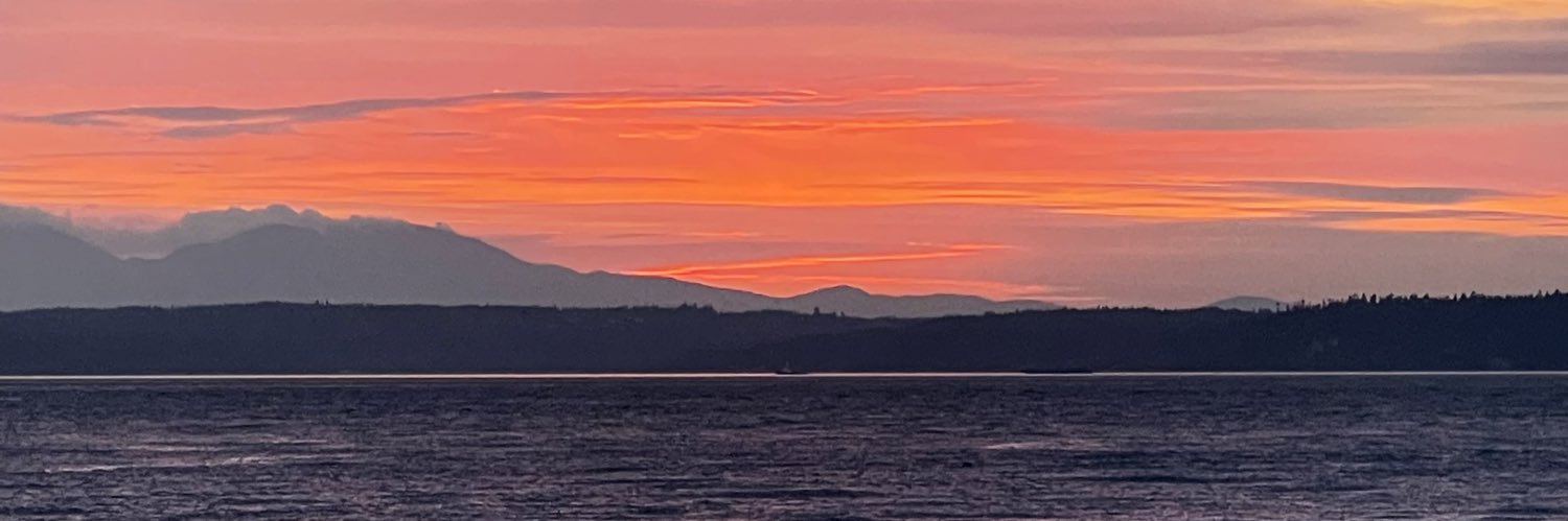 Stevough's profile banner image