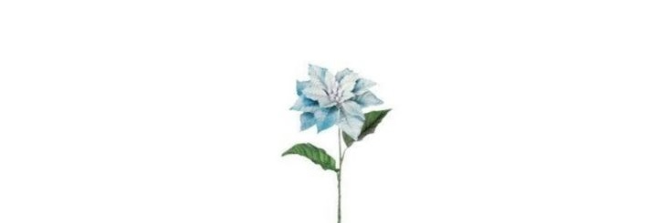 smeraldomoon's profile banner image