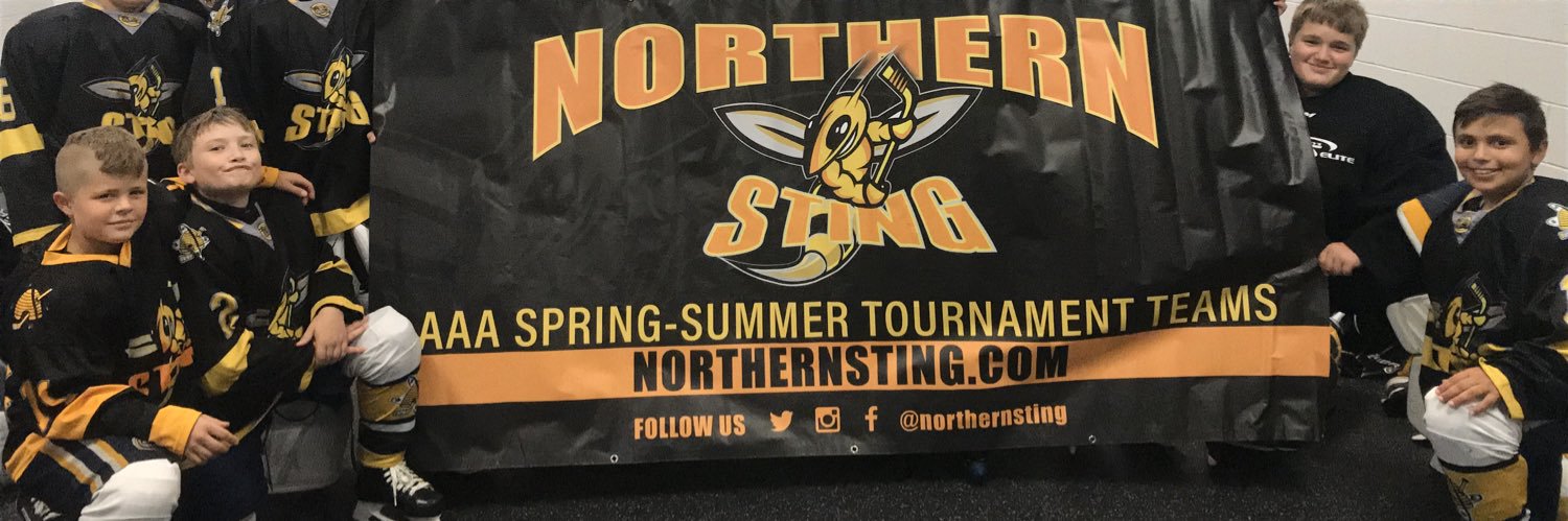 Northern Sting Hockey Club banner