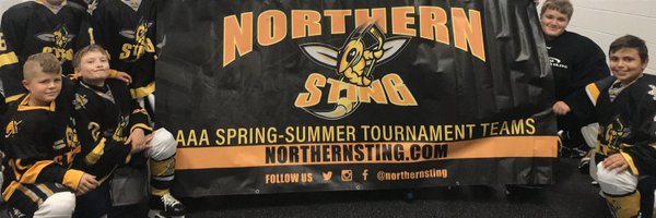 Northern Sting Hockey Club Profile Banner