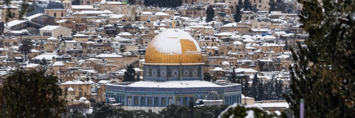 Sara Abou Rashed banner