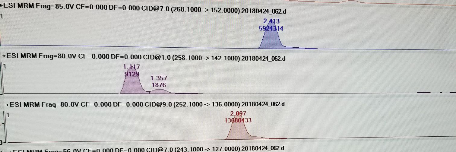 Anastasia Hains banner