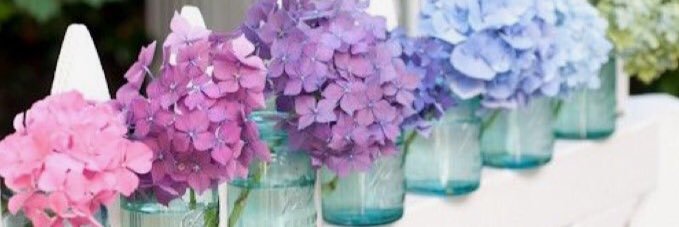 julie_forgey's profile banner image