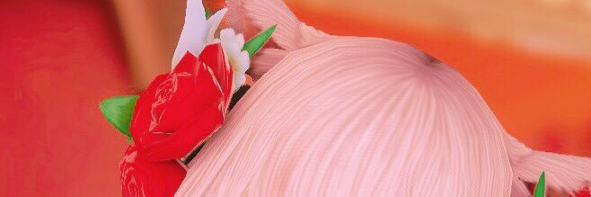 MAI＊Masamune banner