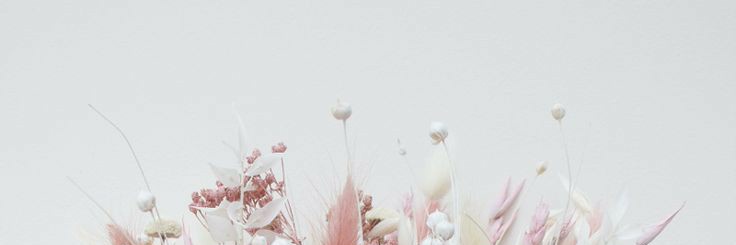 cacinganill's profile banner image