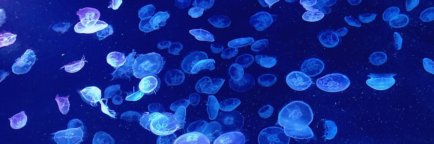 あいしー📛 banner