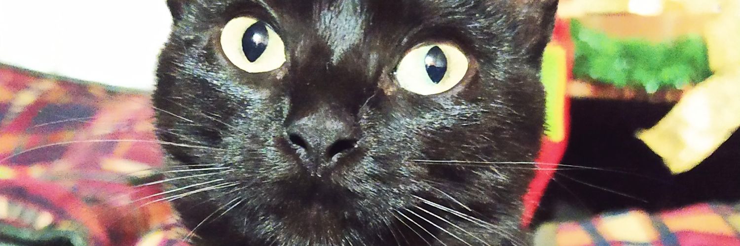 alejacep12's profile banner image