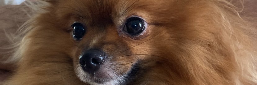DoreVinicius's profile banner image