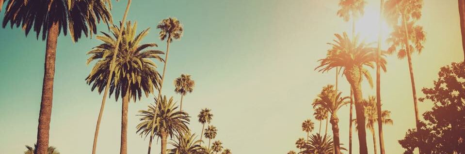 ashpratt7's profile banner image