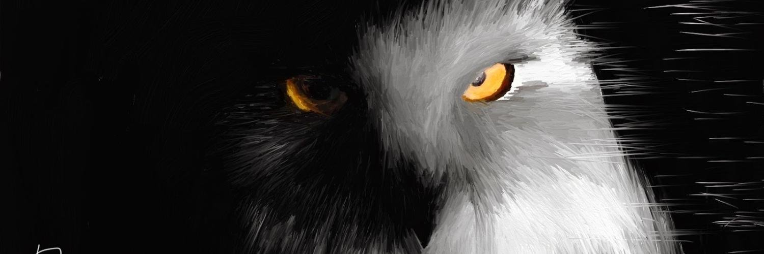 adibkc's profile banner image