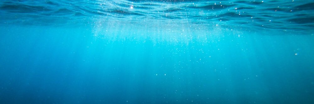 🇺🇦 🏳️‍🌈 baby snark banner