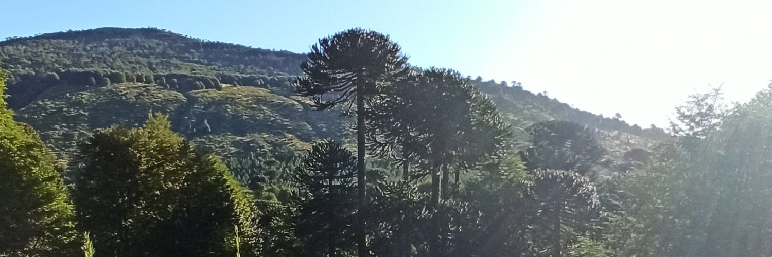 JavieraVillar's profile banner image