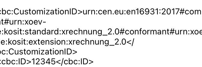 XRechnung's profile banner image