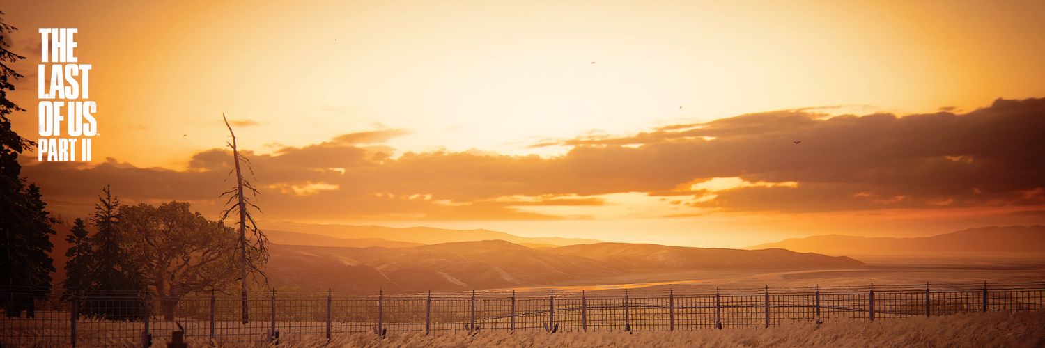 Vitlic_order's profile banner image