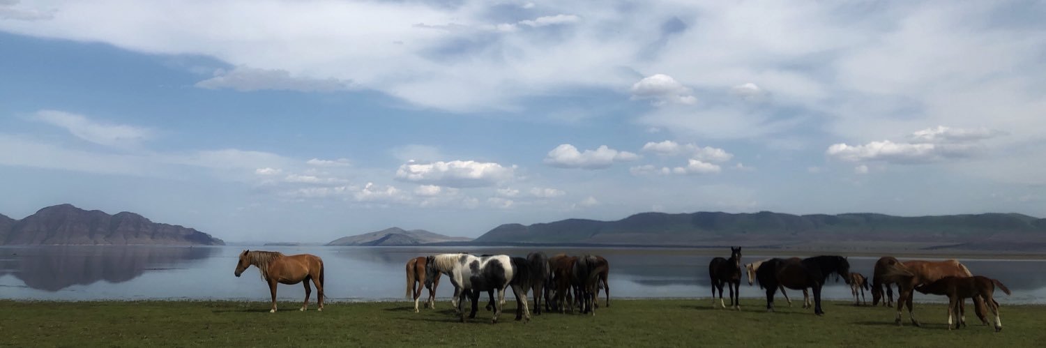 ЭЛЯ 8РАСМИК banner