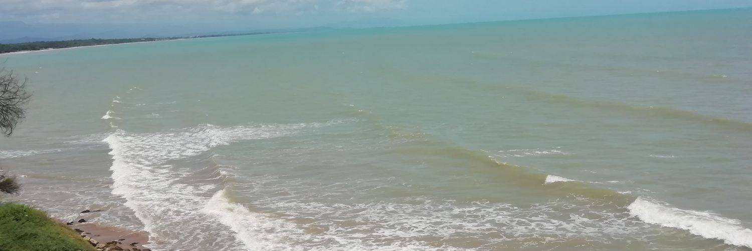 DaliaMil's profile banner image