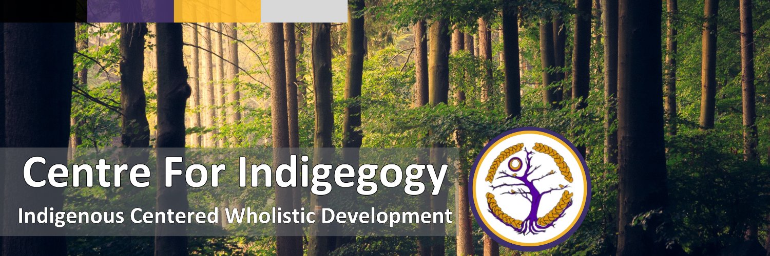 Centre for Indigegogy banner