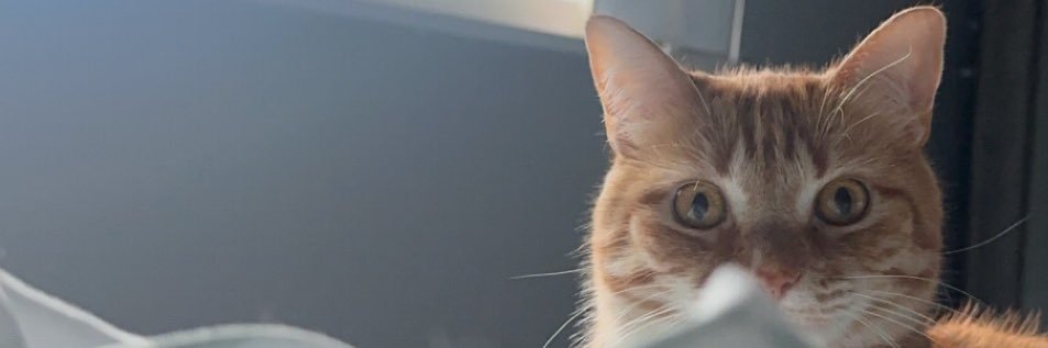 k_skot's profile banner image