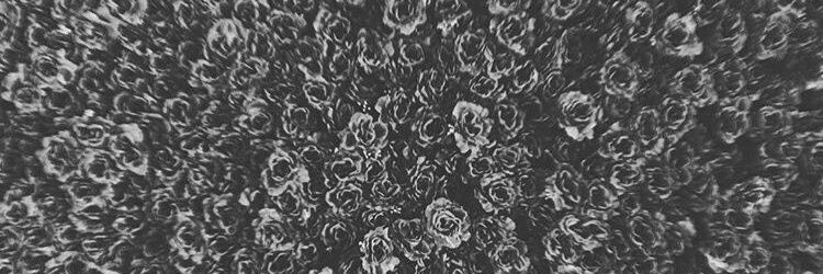 ReeseSanchez_'s profile banner image