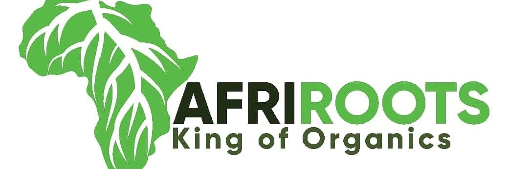 AFRIROOT's profile banner image