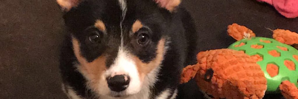 BreeAndraP's profile banner image