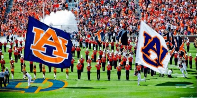 AlexaCarter24's profile banner image