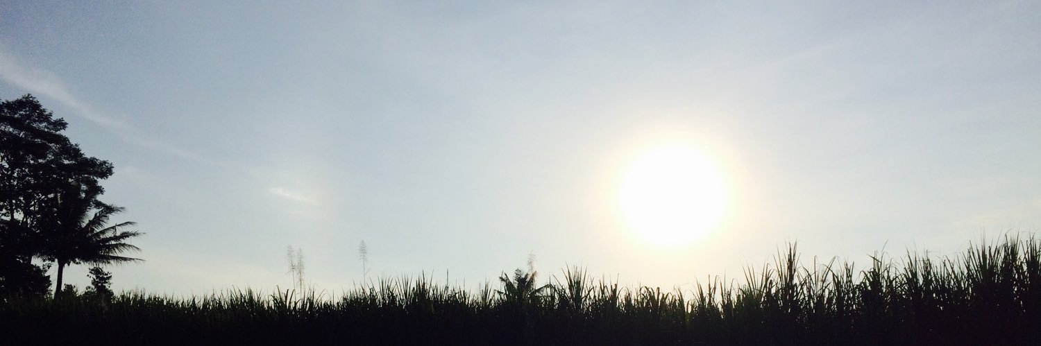 sefliane's profile banner image