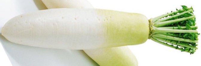 alexpollo91's profile banner image