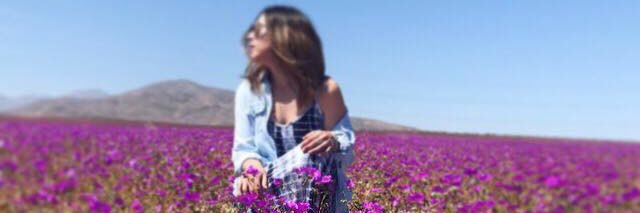 CaresJaviera's profile banner image