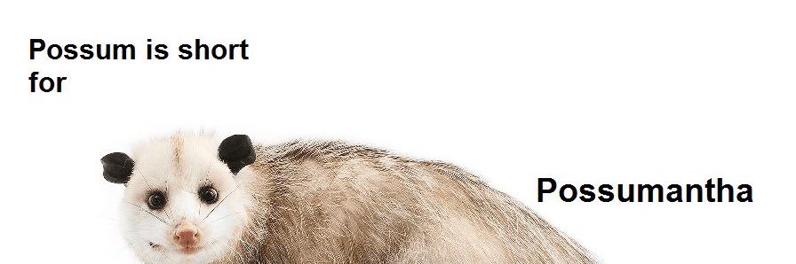 possumantha's profile banner image