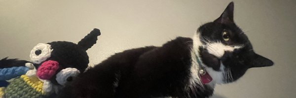 im_a_blisy Profile Banner