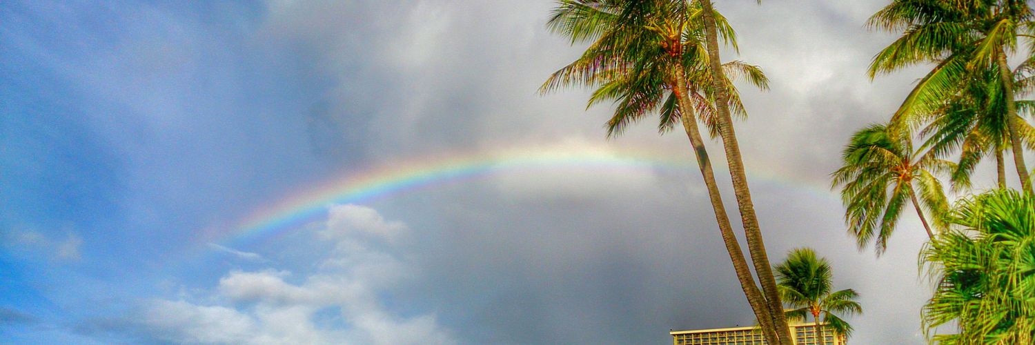 loving_tinycat's profile banner image