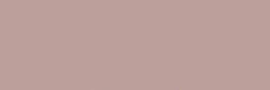 🐰 banner