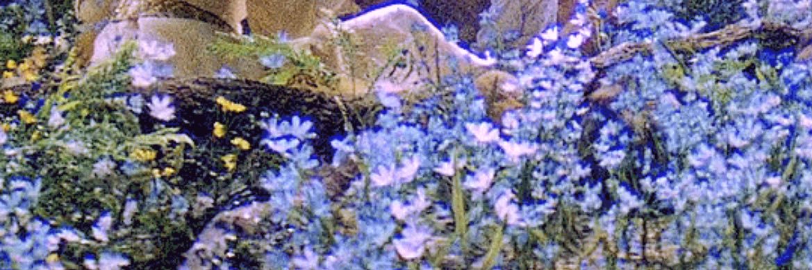 rem 🥀's banner